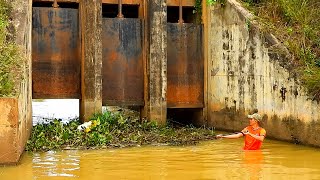 Removal Floating Plants Clog On Water Gate