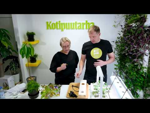 Video: Herb 'N' Living: Kotipuutarhan Kasvattaminen Lemmikkillesi