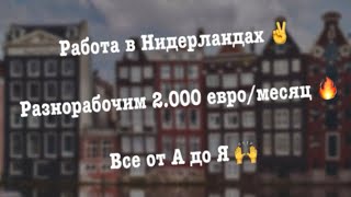 Работа в Нидерландах 🔥