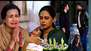 Dil E Nadan Episode 54 To Last Full Review Dil E Nadan Episode 53 Review Nayab S Tania N Maafi Mangi