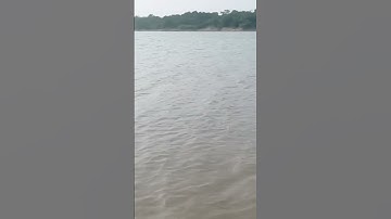 Sabarmati River View IIT Gandhinagar #iit #iitjee #jee #motivation #college #shorts #nature