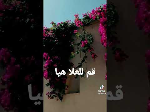 قم للعلا هيا