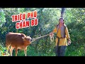 Còn Đường Trở Thành Triệu Phú Của Chàng Chăn Bò Nhờ Vào Đâu ? | Phim Mới Hay