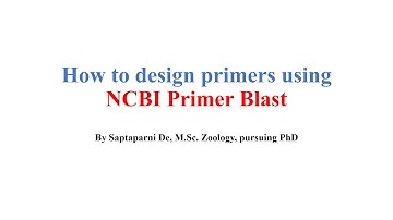 Primer Designing Using NCBI Primer Blast