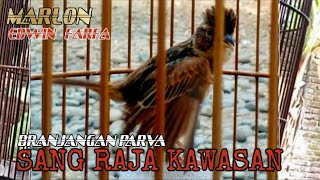 BRANJANGAN SI RAJA KAWASAN,MARLON FARFA