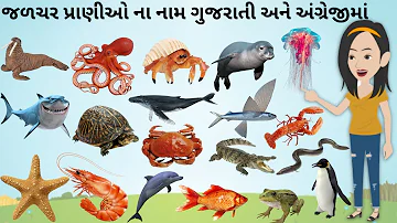 જળચર પ્રાણીઓનાં નામ | jalchar prani na naam | Water Animals Name in Gujarati | KidsTube