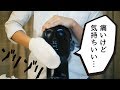 【音強め】乱暴で雑なフェイシャルエステをご提供します【ASMR/音フェチ】