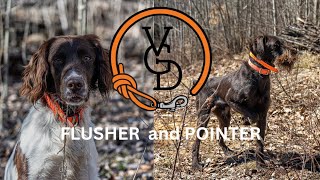 Whoa and Hup:  Is your Pointer or Flusher Steady? by Versatile Gun Dog 217 views 1 year ago 23 seconds