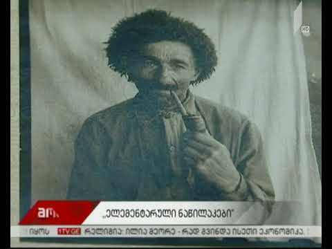 „ელემენტარული ნაწილაკები“