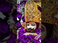 kaamyaab ho jaoge #minivlog #shorts #shreekhatushyam