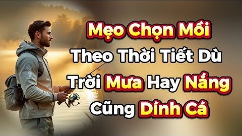 🎣 Mẹo Chọn Mồi Theo Thời Tiết – Trời Mưa Hay Nắng Cũng Dính Cá | Câu Cá 24H