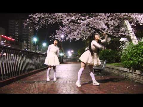 【ポイフル♪】Twinkle Days踊ってみた【桜】