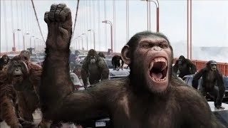 apes vs human - Pertempuran di Jembatan (part 1) | Bangkitnya Planet Kera (2011) Resimi