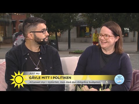 SD:s inflytande i Gävle: ”Det har varit otroligt stökigt” - Nyhetsmorgon (TV4)