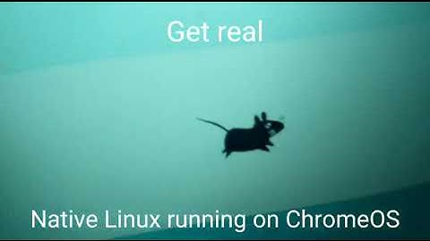 Xfce natively running on chromebook