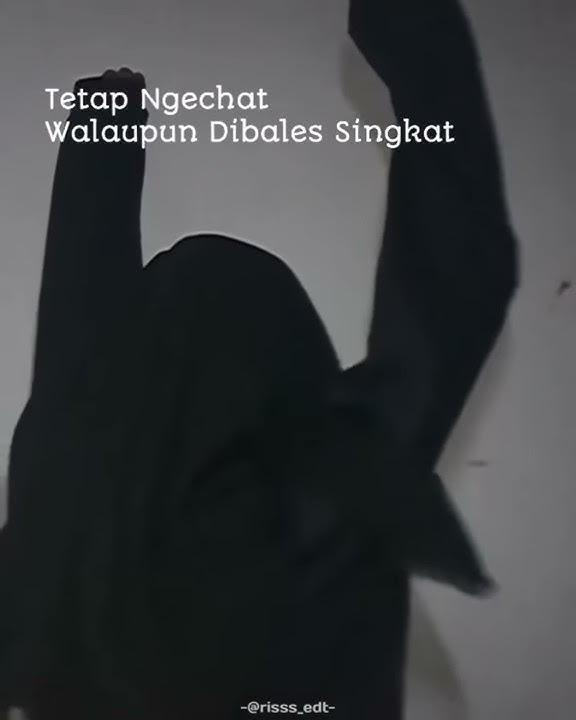 Story' Wa | Tetap Ngechat Walaupun Dibalas Singkat!