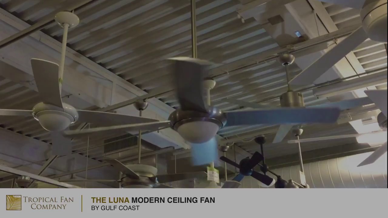 Luna Modern Ceiling Fan By Gulf Coast