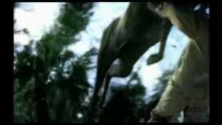 Walking with Beasts Opening Theme