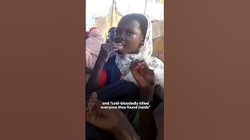 RSF carries out massacre in maternity hospital in Sudan’s Al Fasher