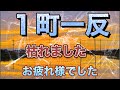 【水稲】箱専用剤と除草剤入れ間違えそんな事あるん？#肥料屋森ちゃんTV#農業#水稲＃田植え大失敗