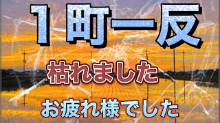 【水稲】箱専用剤と除草剤入れ間違えそんな事あるん？#肥料屋森ちゃんTV#農業#水稲＃田植え大失敗