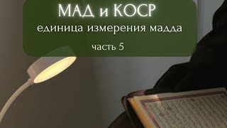 точная единица измерения мадда в Куране