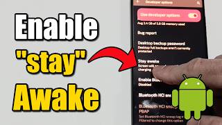 How to Make your Android Phone Never Turn OFF (Developer Options)