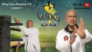 Wing Chun kung fu Dummy Form part 1-10 screenshot 5