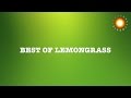 Best of lemongrass  lounge  chillout  ambient compilation