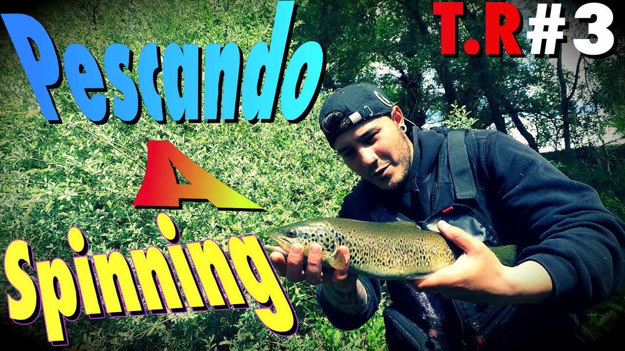 Pescando truchas a spinning