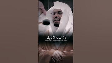 الشيخ ياسر الدوسري | حوار سيدنا نوح مع الله 🤍🤍 | سورة هود