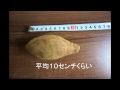 【開封レビュー】楽天で訳あり安納芋を買ってみた！　Anno potato