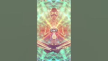 DMT will change your consciousness after death? 🤯
