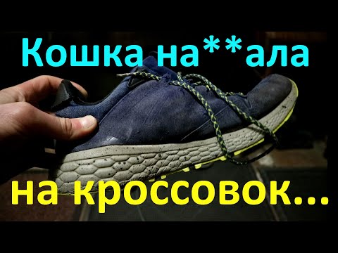 Быстрый способ вывести запах кошачьей мочи с обуви - замочили, отжали, высушили, побежали