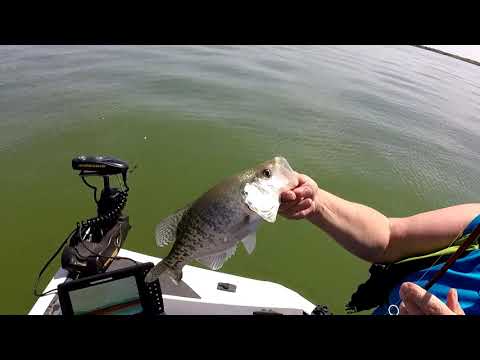 mr perry jigs
