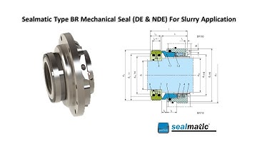 Sealmatic Type BR Mechanical Seal (DE & NDE) For Slurry Application: Mechanical Seal