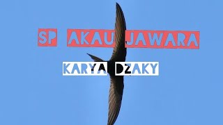 SP Akau Jawara by Dzaky