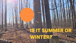 A SHORT WAY TO THE MAIN ROAD THROUGH THE FOREST. #Scarborough.#Ontarioforestry2025
