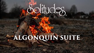 Dan Gibson’s Solitudes - The Campfire | Algonquin Suite