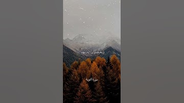 الْمُنَافِقُونَ وَالْمُنَافِقَاتُ بَعْضُهُم مِّن بَعْضٍ   سورة التوبة   علي جابر