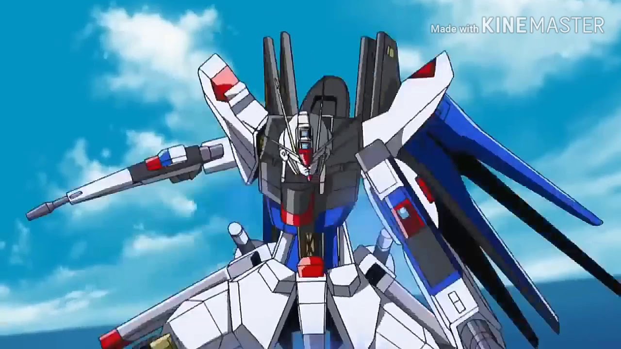 GUNDAM SEED DESTINY  Reason 