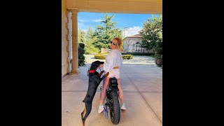 Britney Spears & Sam Asghari Playing With Porsha + Motivation From Asghari - January 1 2022