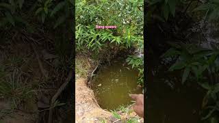 Semoga Bisa Menyelamatkan Banyak Jiwa