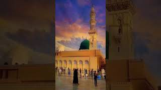 madina ki #new #nath #viralvideo #viral #shorts #love #trending