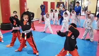 3-5yrs Martial Arts Taekwondo Little Tigers
