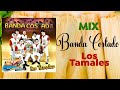 A BAILAR CON BANDA COSTADO - LOS TAMALES MIX (CD Completo) MusiCanal