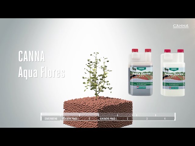 Watch (South Africa) CANNA Aqua Flores on YouTube.