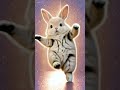 【ノリノリ癒しうさぎ】
