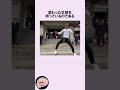 やりらふぃーの求愛行動に関するうんちく