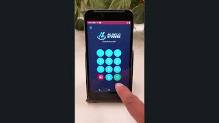 Aldelo ePay OffLine Operations (SAF) screenshot 1